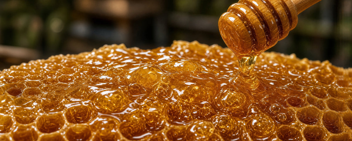 UMF and MGO: How to Read Mānuka Honey Ratings