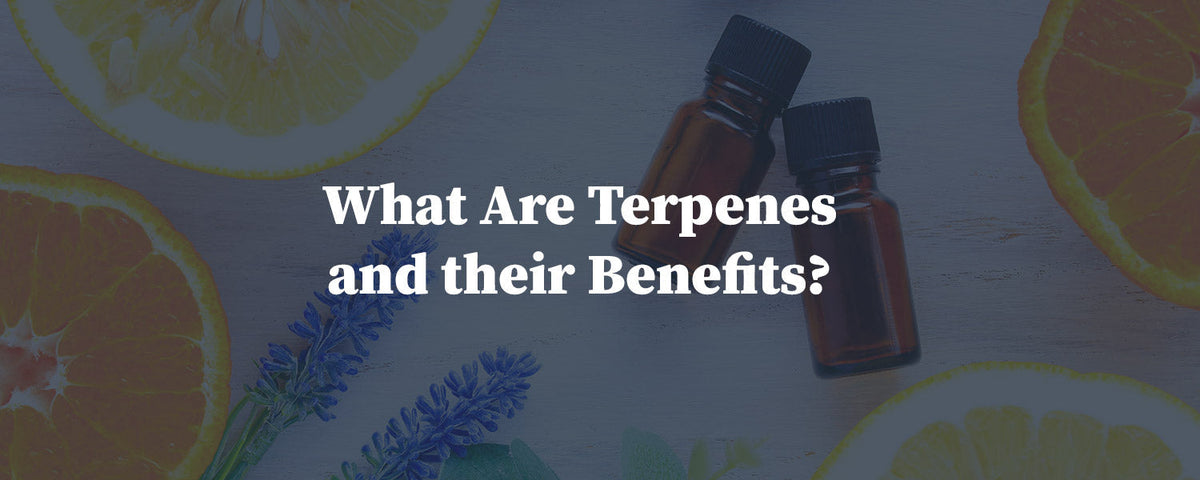 Terpenes