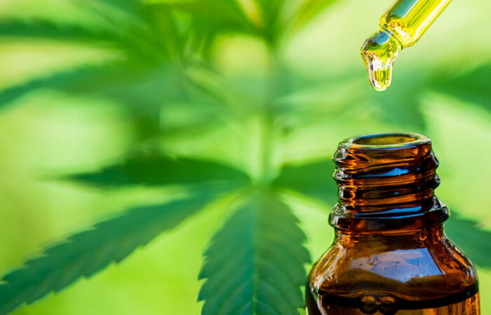 What is Hemp Extract and what are the Benefits?
